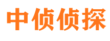 宁江市私家侦探